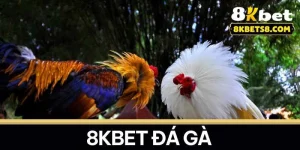 TRÒ CHƠI - 8KBET♥️8KBET.COM - KUPIHA.TOP