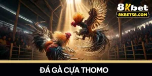 TRÒ CHƠI - 8KBET♥️8KBET.COM - KUPIHA.TOP