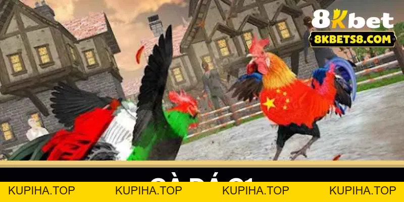 Gà Đá C1 - Bí Quyết Lựa Chọn Chiến Kê - 8KBET♥️8KBET.COM - KUPIHA.TOP