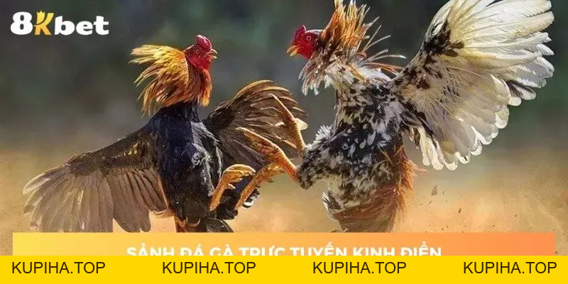 Trang Chủ 8KBET - Điểm Giải Trí Kỳ Thú Game Thủ Châu Á - 8KBET♥️8KBET.COM - KUPIHA.TOP